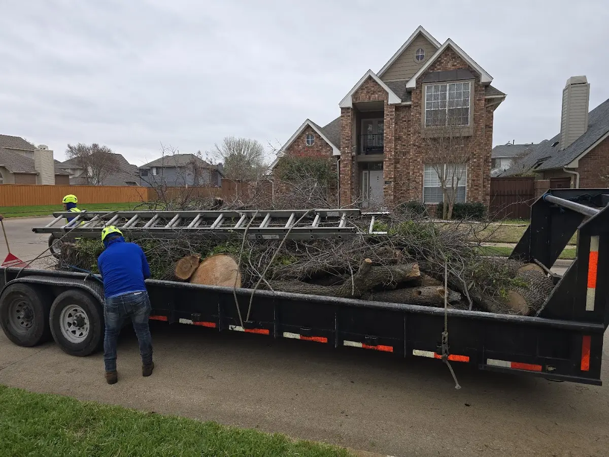 Expert Tree Fertilization with proper safety equipment in Windom